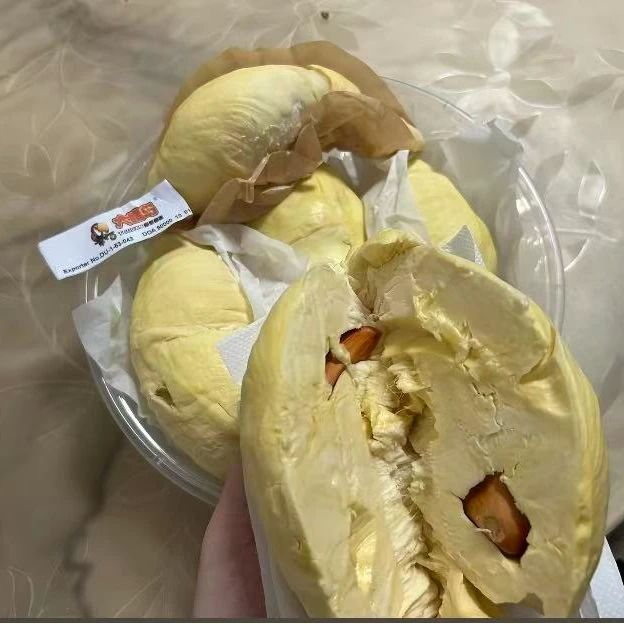 大嘴鸟【磊哥挑着发】空运树熟榴莲专拍链接