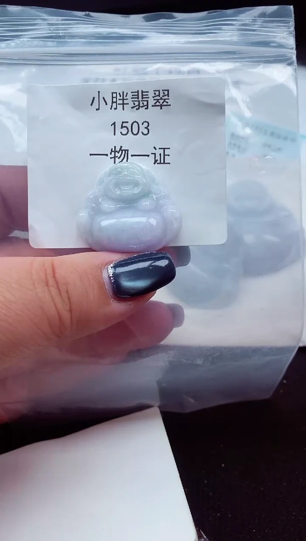 颈饰未镶嵌翡翠缅甸天然A货翡翠1503