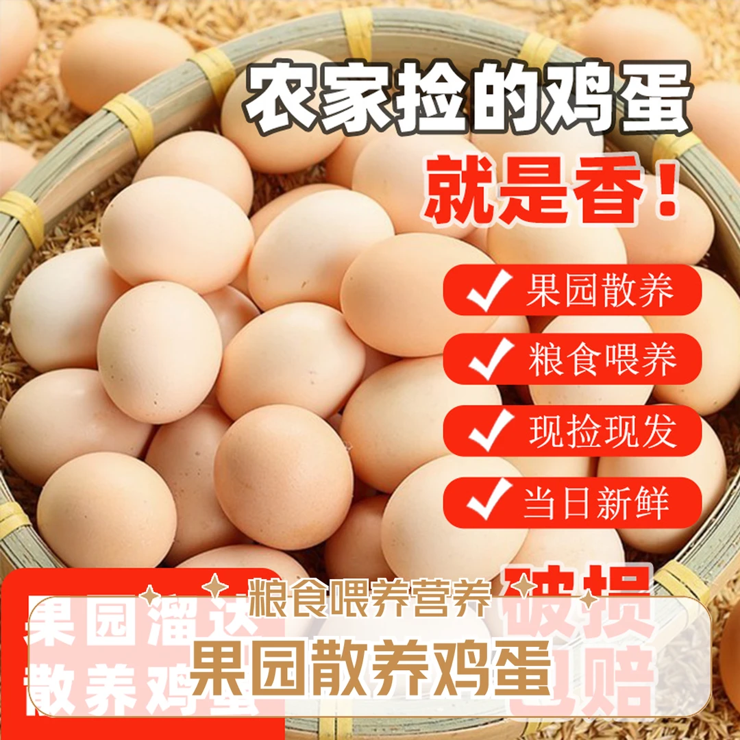 顺义农场自家果园散养正宗土鸡蛋 现捡现发 50枚  破损包赔京东送货上门