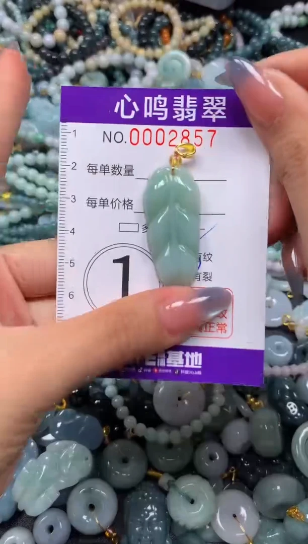 颈饰未镶嵌翡翠闪购002857