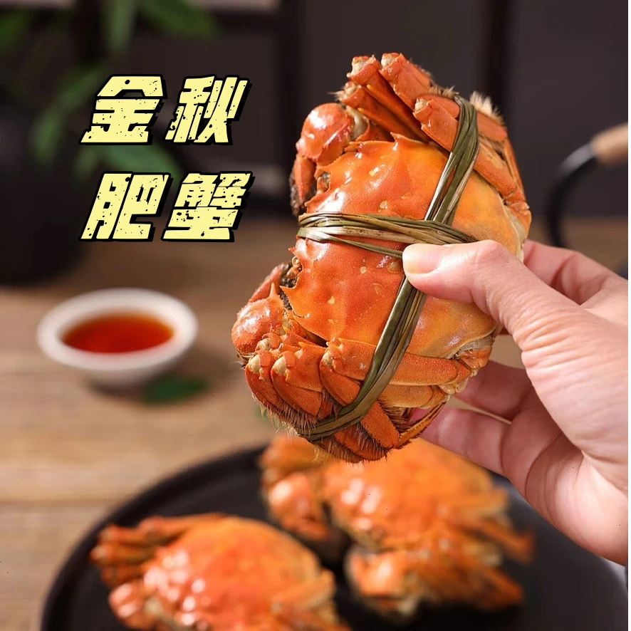 鲜活大闸蟹（全母蟹2.0两/只)【同城配送/可代加工】