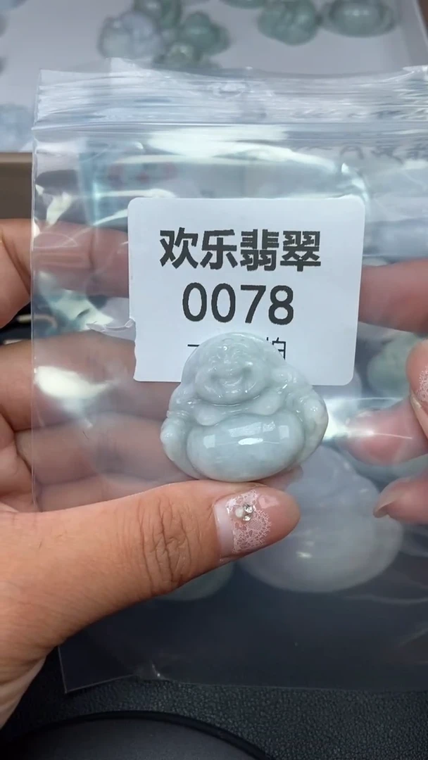 颈饰未镶嵌翡翠缅甸天然翡翠0078