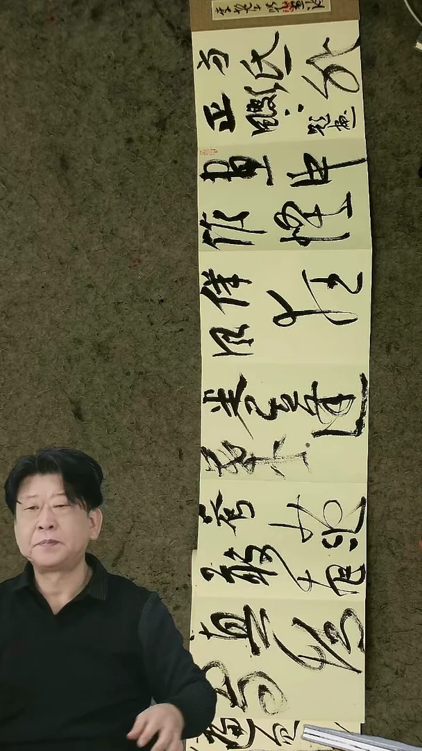 书法20*28cm   24页  胡大成老师  书法册页 《题画诗》