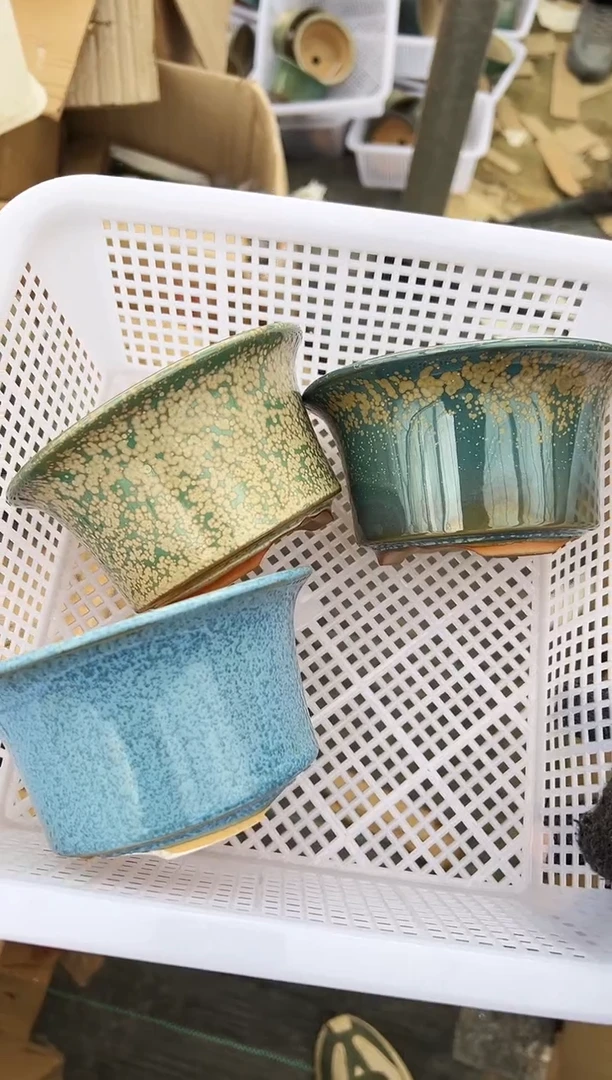 雲*54号3个微瑕的