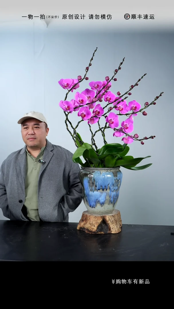 【闪购商品】012号链接【一物一拍】艺术盆景