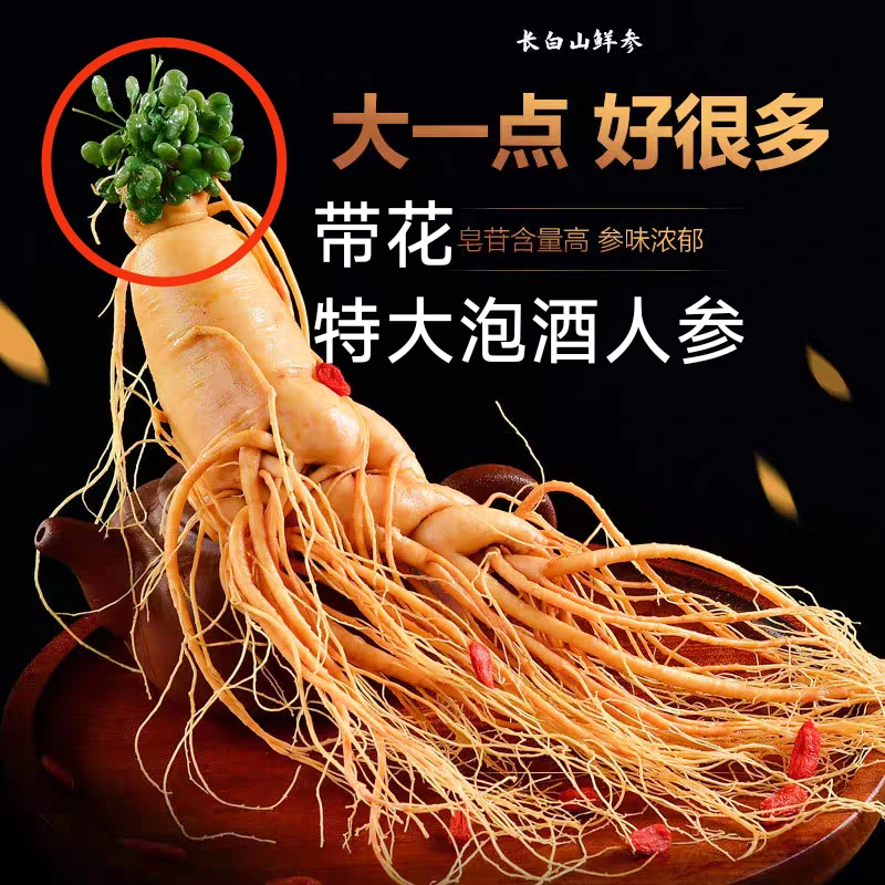 保鲜参60g正品长白山特产保鲜人参煲汤泡水泡酒