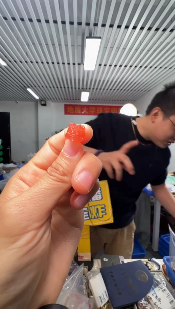 吊坠(不含链)未镶嵌南红玛瑙南红醒狮雕刻件吊坠（通孔）