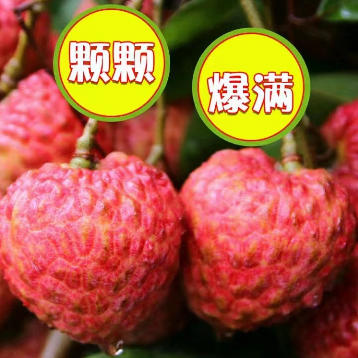 【省外拍】广东增城A级糯米糍荔枝  5斤10斤装 顺丰冷链发货