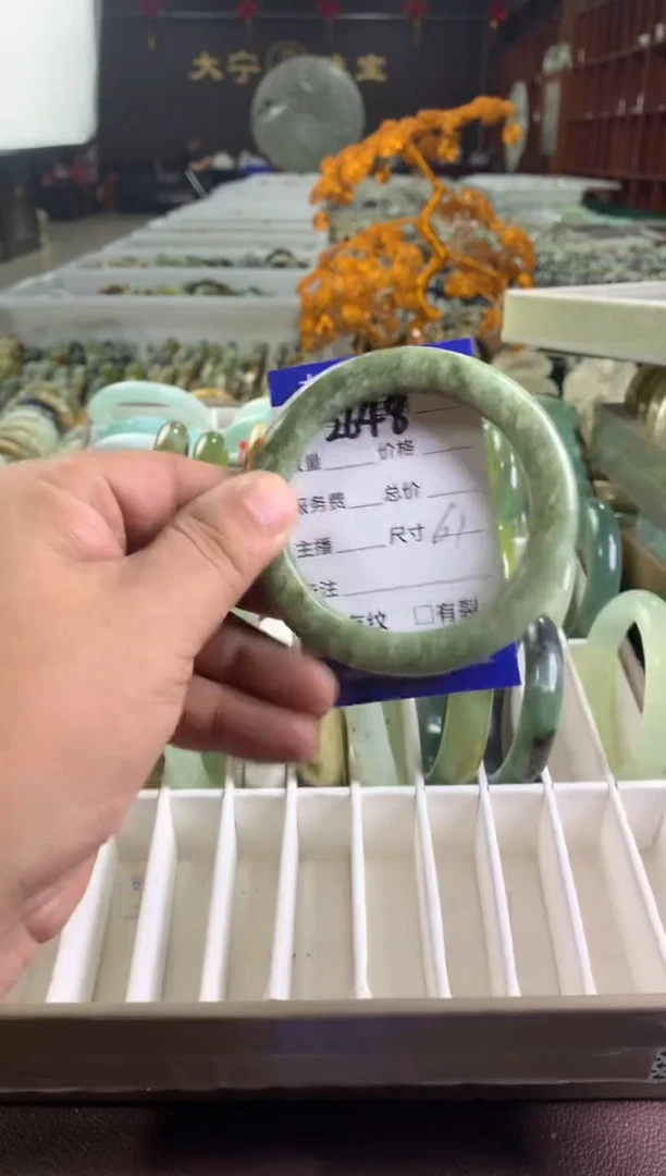 蛇纹石玉未镶嵌手镯2648