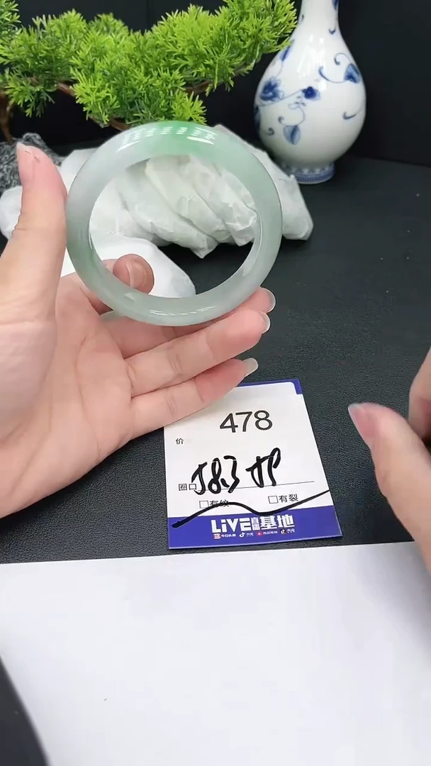 未镶嵌手镯翡翠478