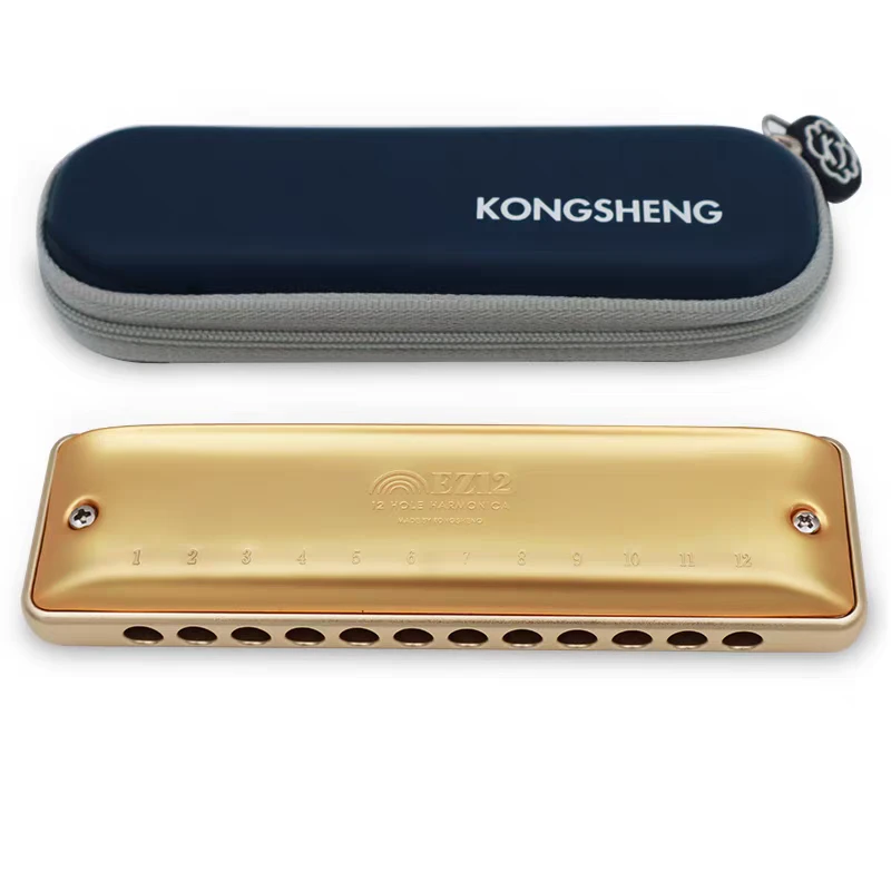 孔声小金条12孔口琴音质天花板全金属圆孔高质量专业演奏不压音