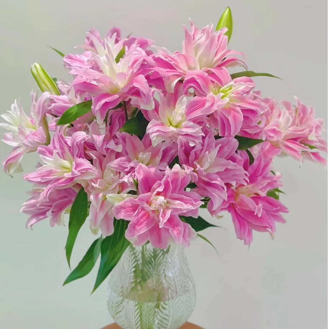 【红丝带重瓣百合】云南鲜花基地直发 任意鲜花两单升级顺丰