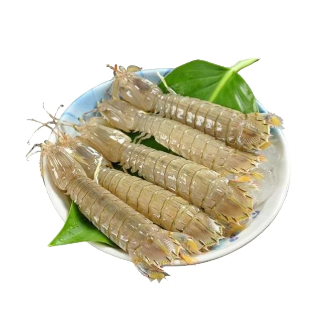 大皮皮虾（3斤/5斤）【打氧活发/拆袋不退】