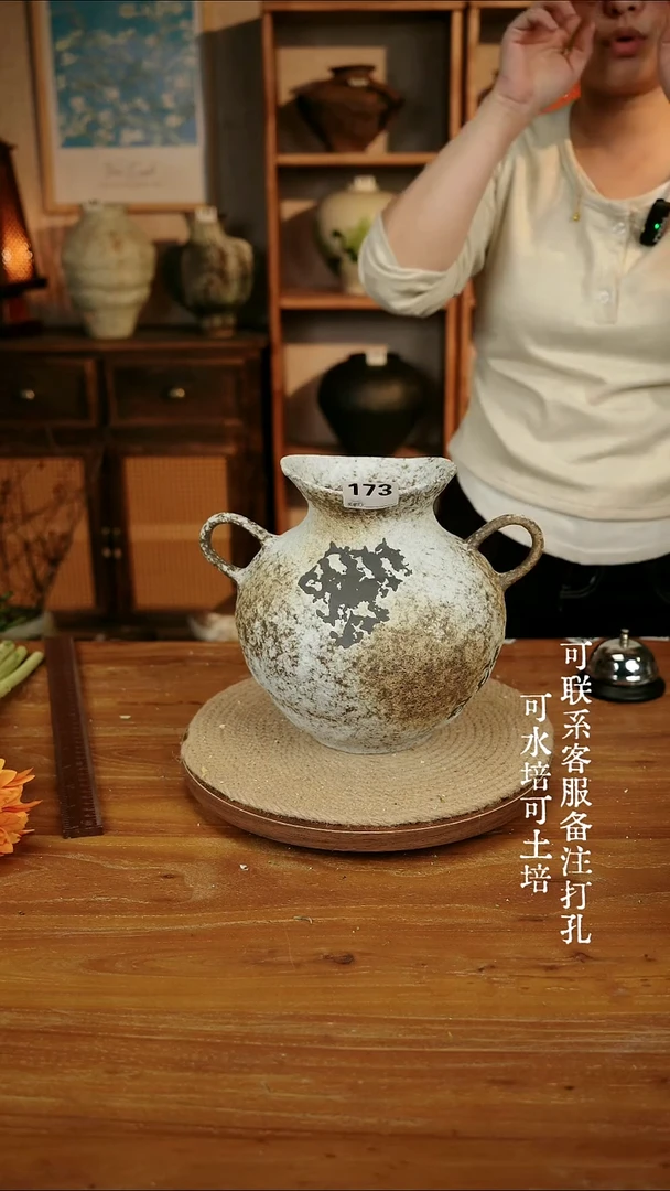 摆件173侘寂风双耳瓶可水培可土培