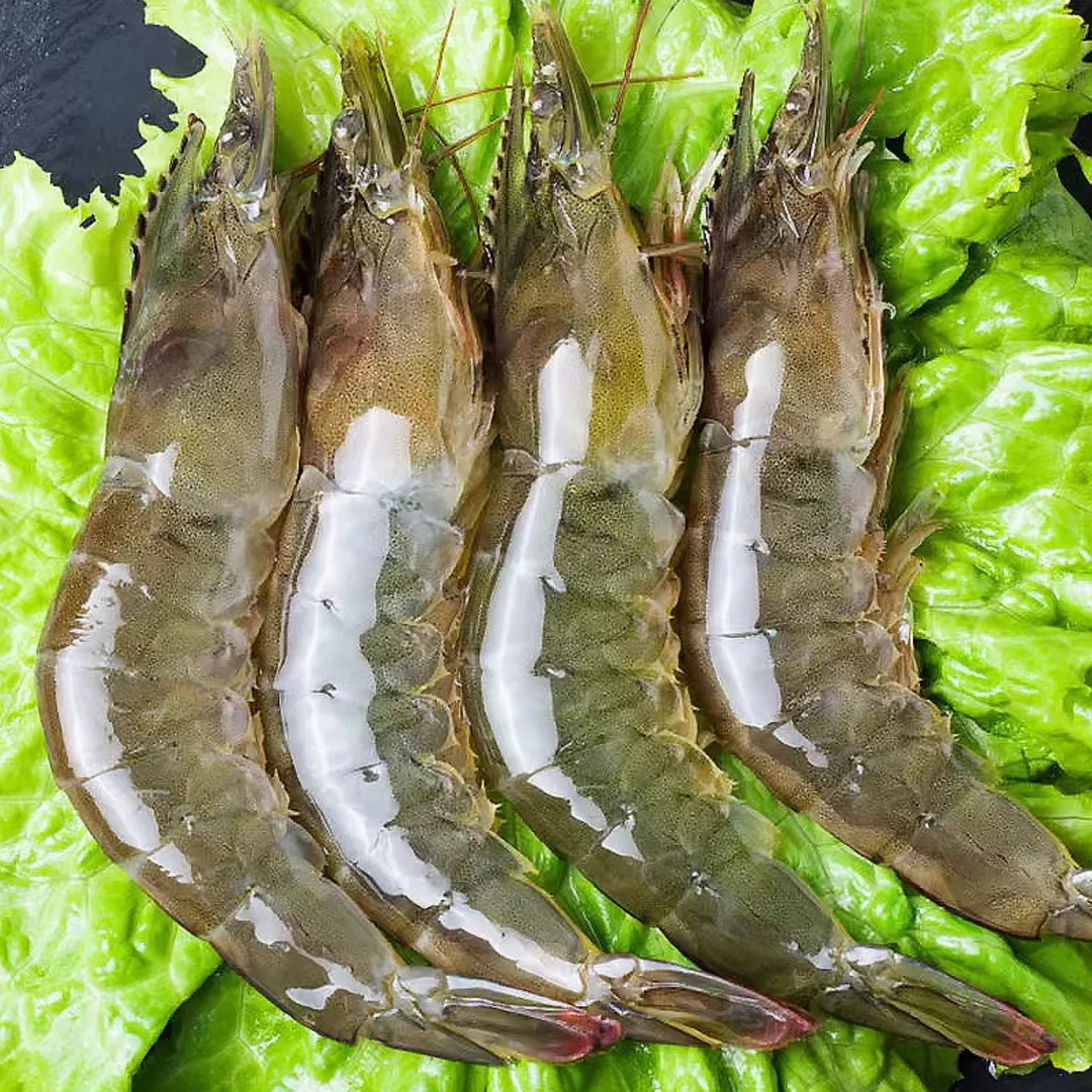 ［30-40海虾］青岛海水大虾单只体长15-18cm一盒4斤共50-60只  zb