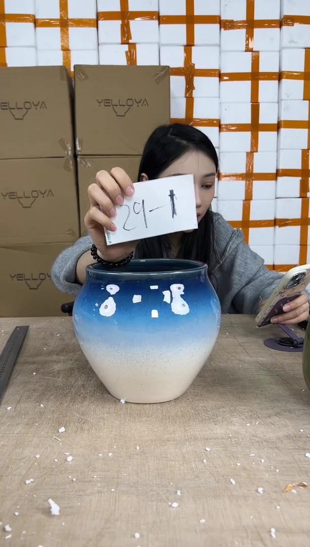 花盆花盆中号12.29--1