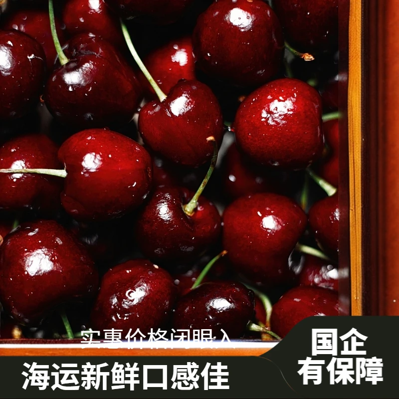 【周谷堆自营】海浪拉宾斯车厘子J/2J/3J净5斤海运（14） 内附果径卡