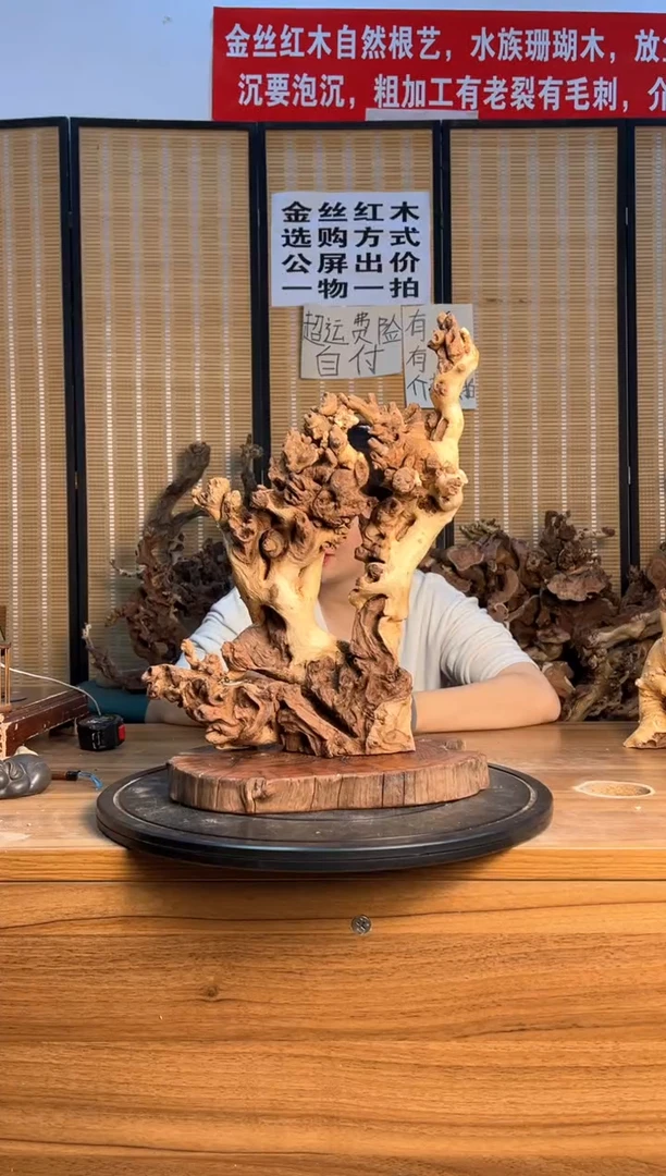 【闪购商品】木云南红河金丝红761