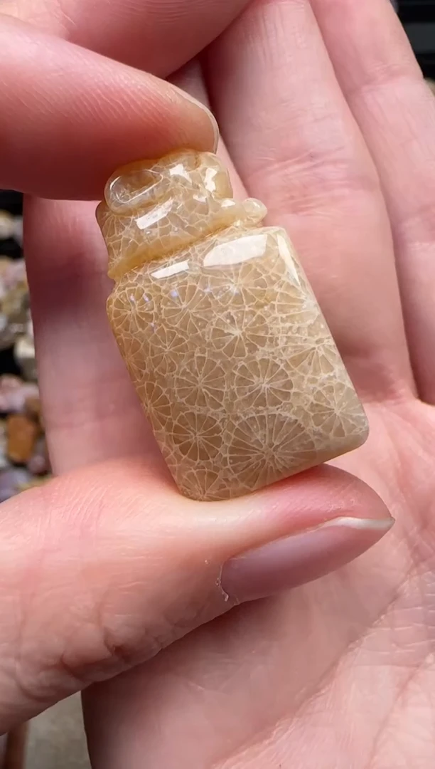 颈饰未镶嵌硅化珊瑚（珊瑚玉）219