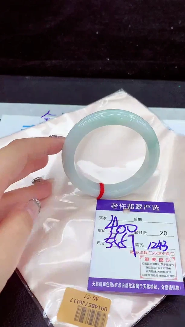 未镶嵌手镯翡翠1