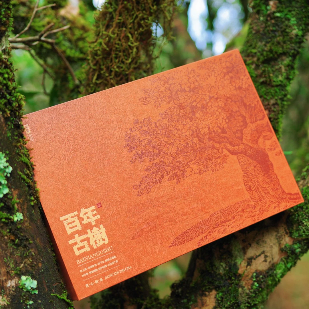 【2025春茶-千元入门品鉴】大庵高山古树单株凤凰单枞茶老枞碳焙