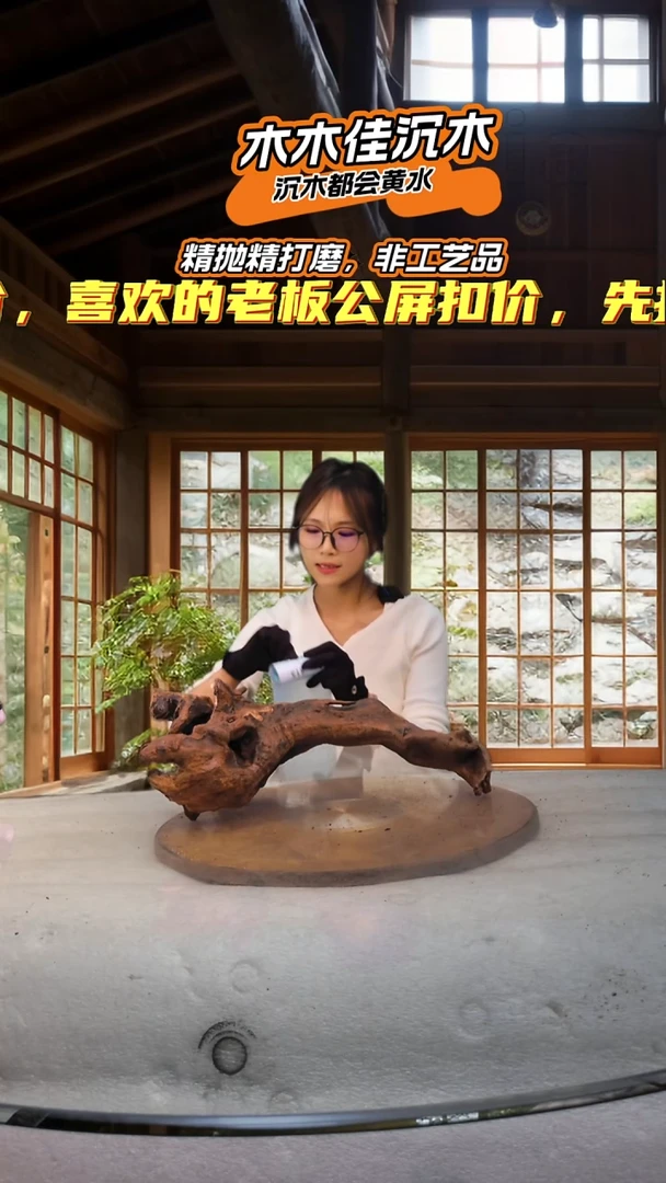 桔***.木木佳鱼缸造景沉木-813