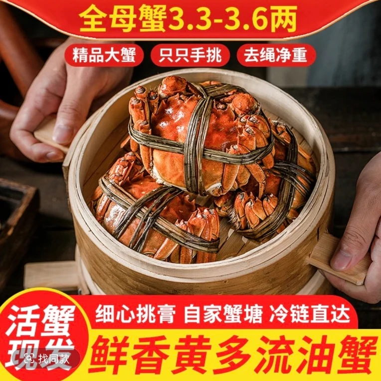 【活蟹】新鲜江苏兴化特级大闸蟹3.6-3.3两/6-10只全母蟹兴化螃蟹