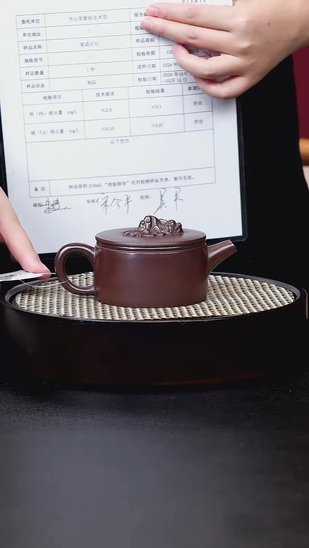 茶壶紫砂宜兴茶壶h259704