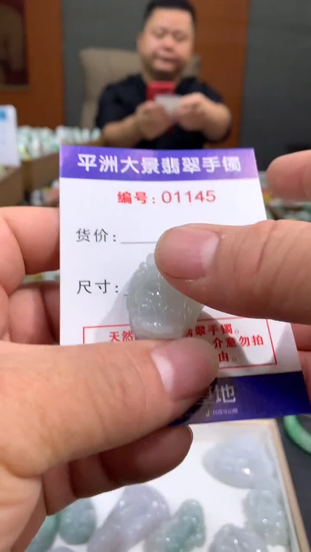 未镶嵌挂件翡翠天然A货缅甸翡翠貔貅《车  挂》多样性发货发其一