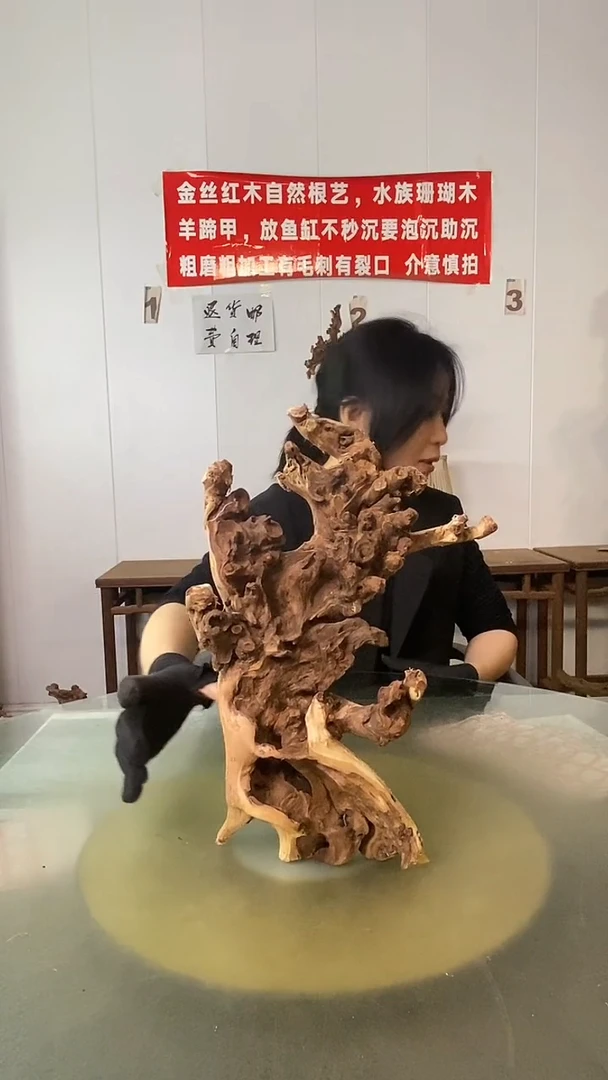 木往*哥金丝红木 羊蹄甲