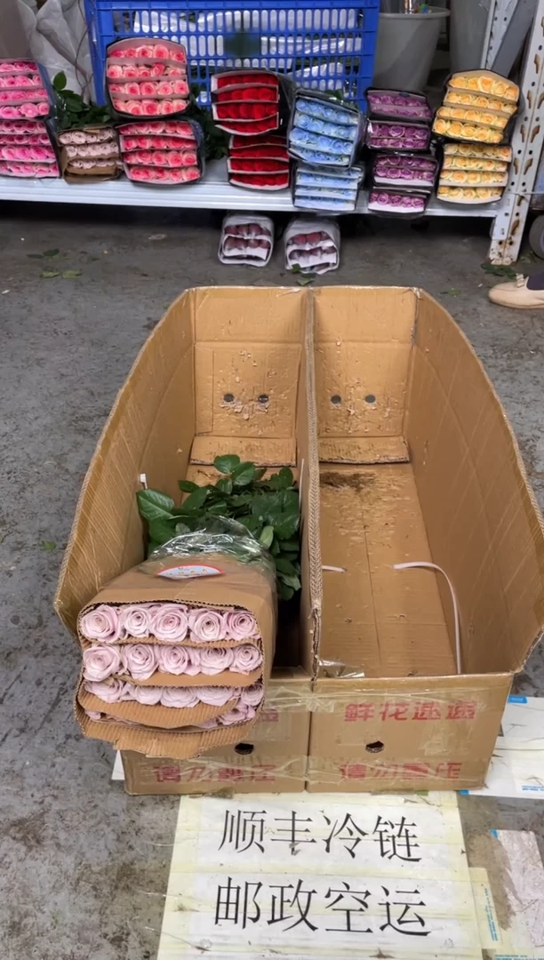 曼塔30扎（共600枝）