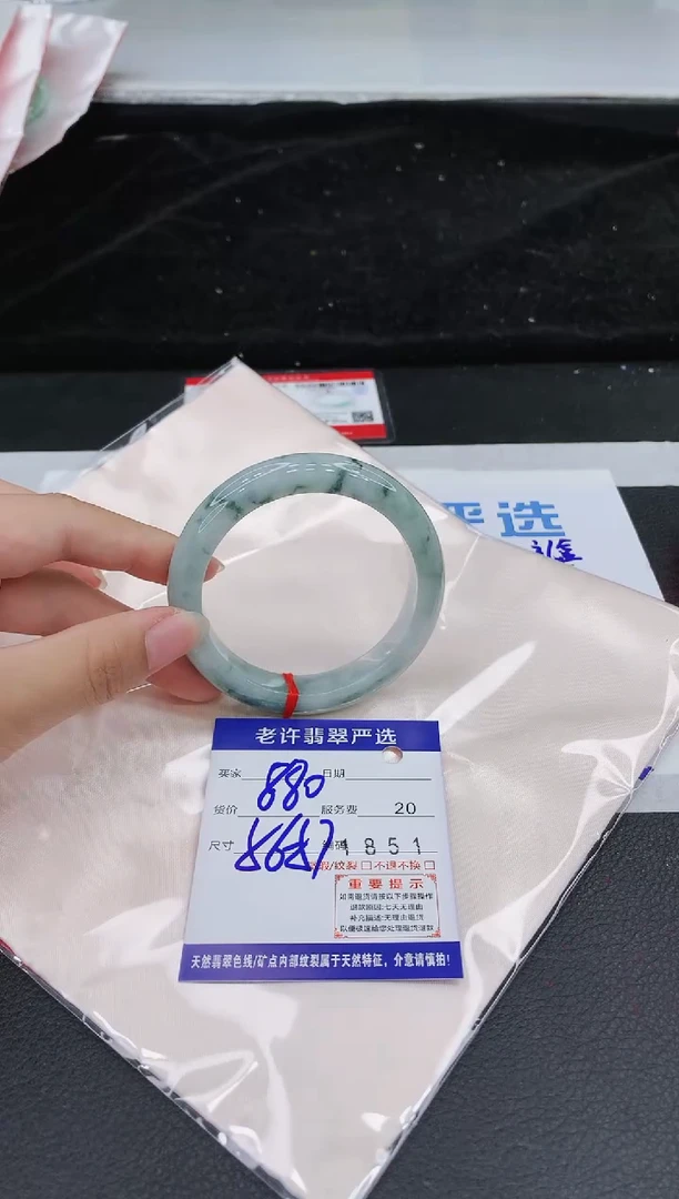 未镶嵌手镯翡翠1