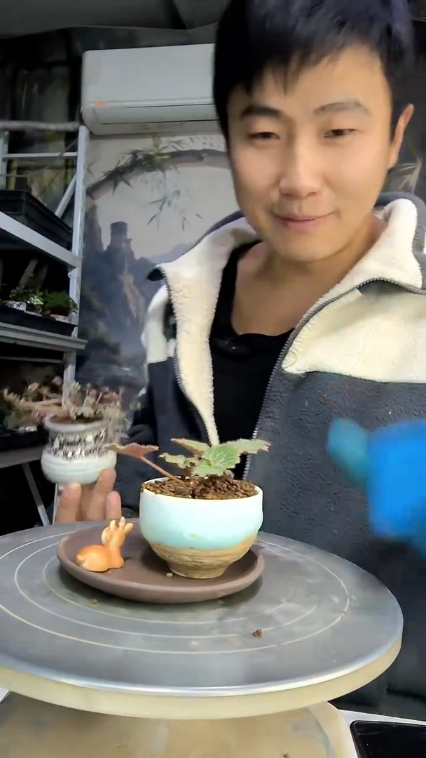 小*中青园艺一物一拍花114