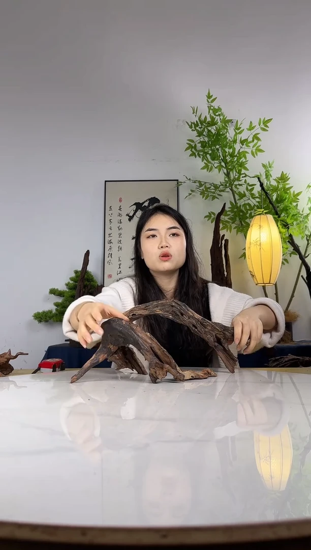 旨拍这个定向编号62