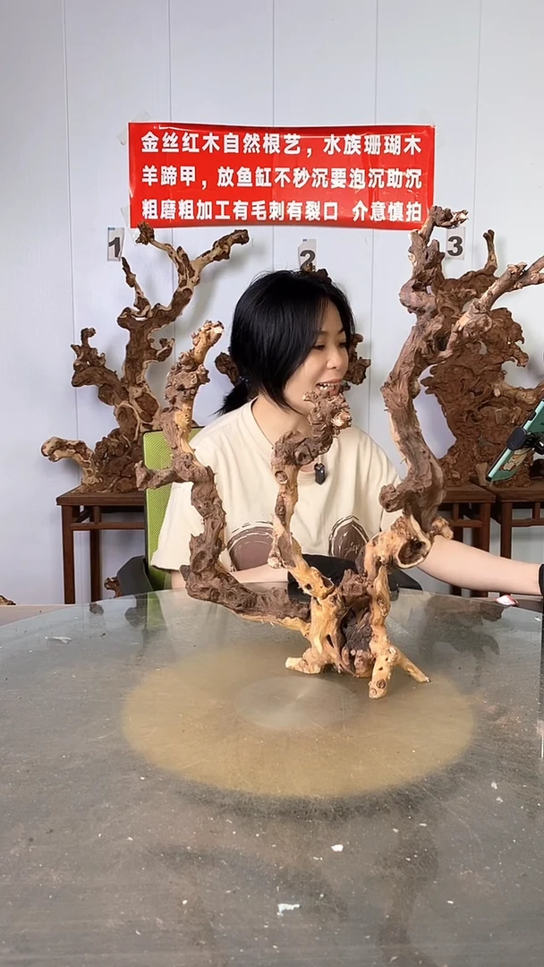 香榧木室**观金丝红木 羊蹄甲