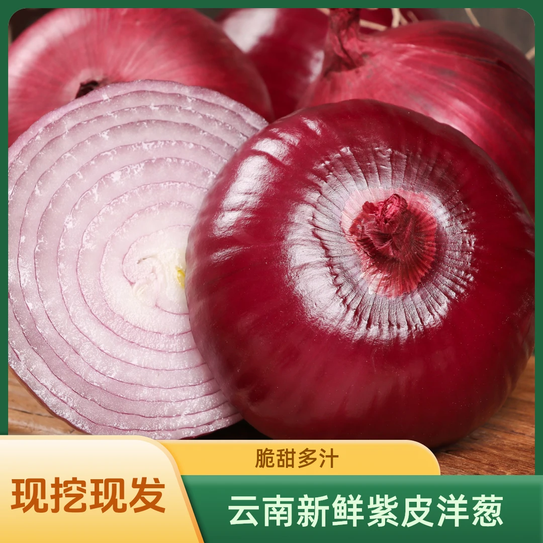 云南新鲜紫皮洋葱 现挖现发 原产地直销