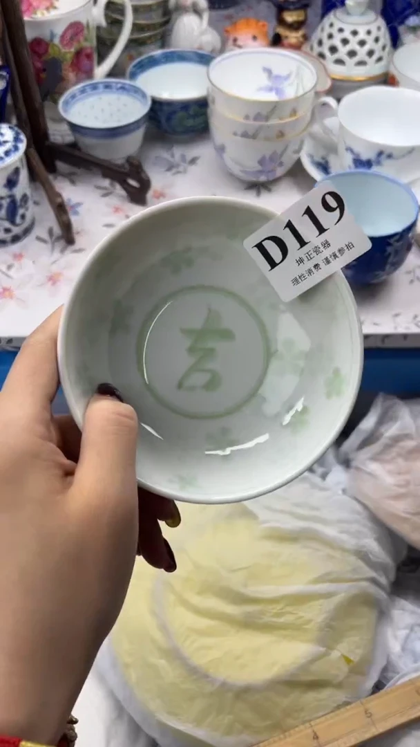 瓷片          D119