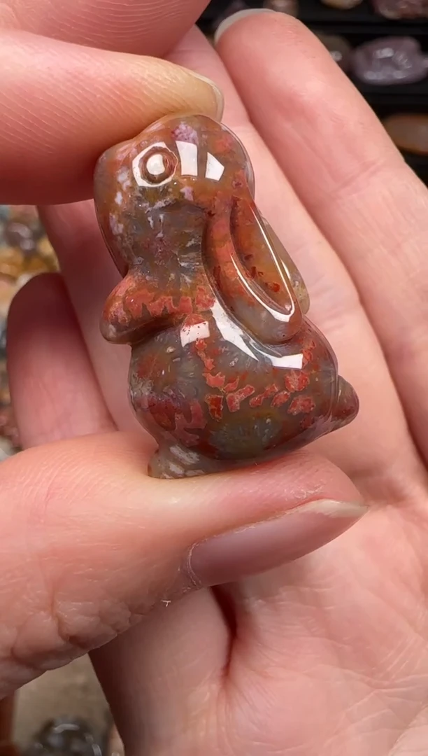 硅化珊瑚（珊瑚玉）未镶嵌颈饰132