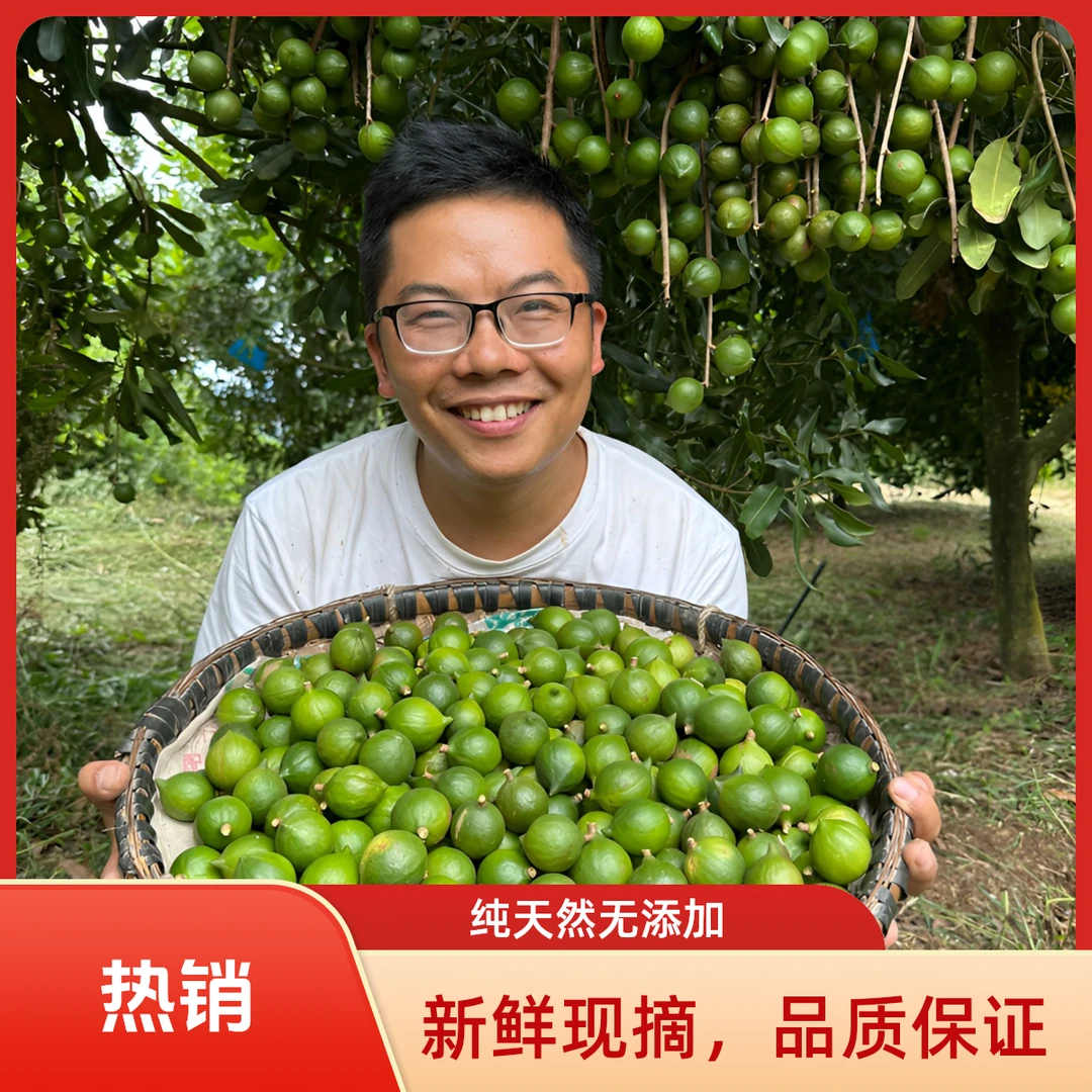 云南新鲜采摘夏威夷果清甜清香带绿壳吃法多样营养零食