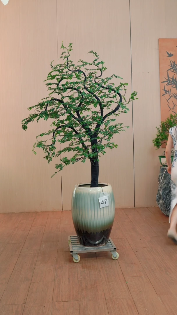 全部花朵【闪购链接】47号链接