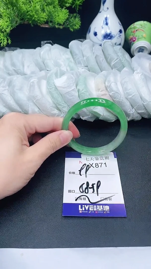 未镶嵌手镯翡翠871