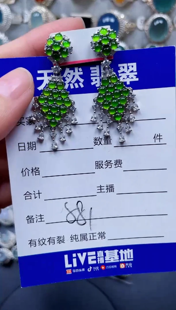 银S925镶嵌翡翠耳饰581