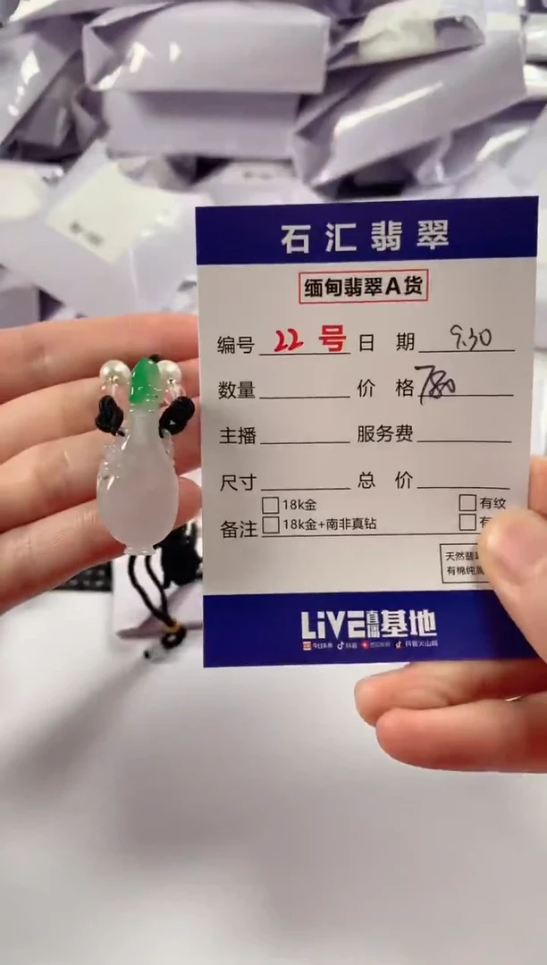 颈饰未镶嵌翡翠1