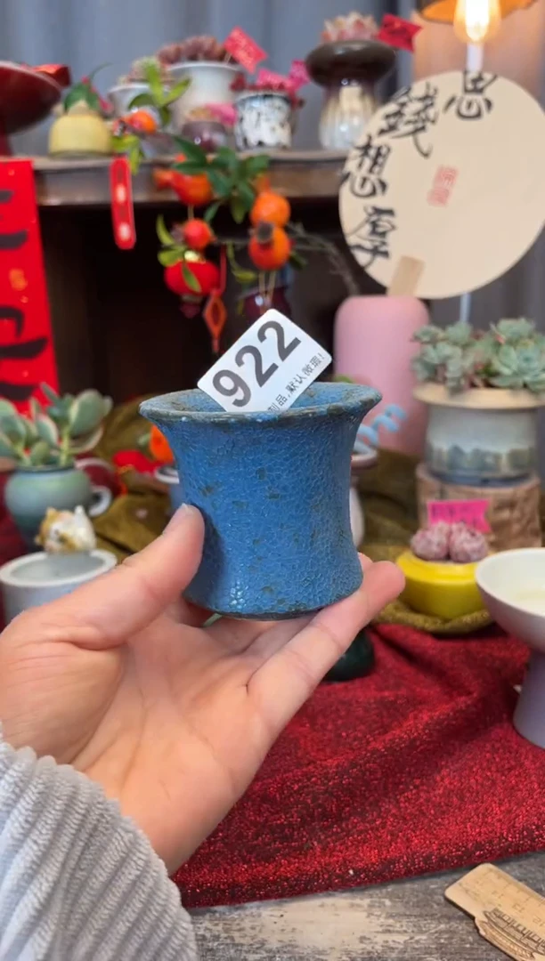 【闪购商品】摆件922知木小芳花盆