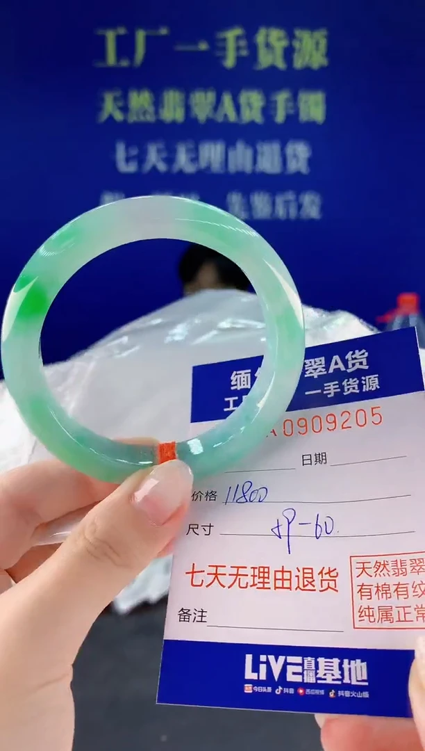 未镶嵌手镯翡翠05