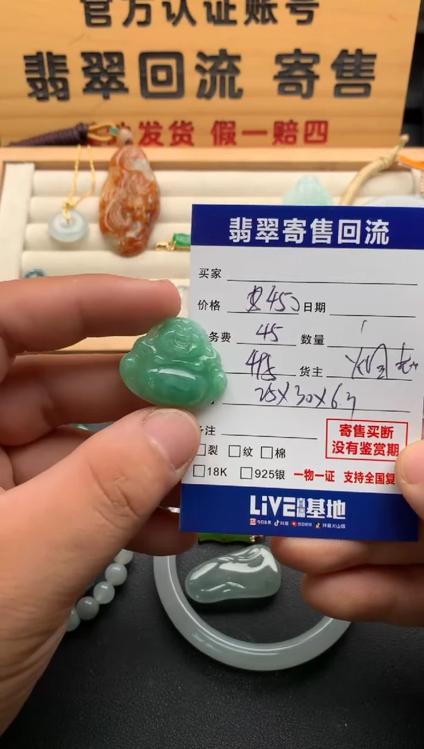 翡翠未镶嵌颈饰10138774