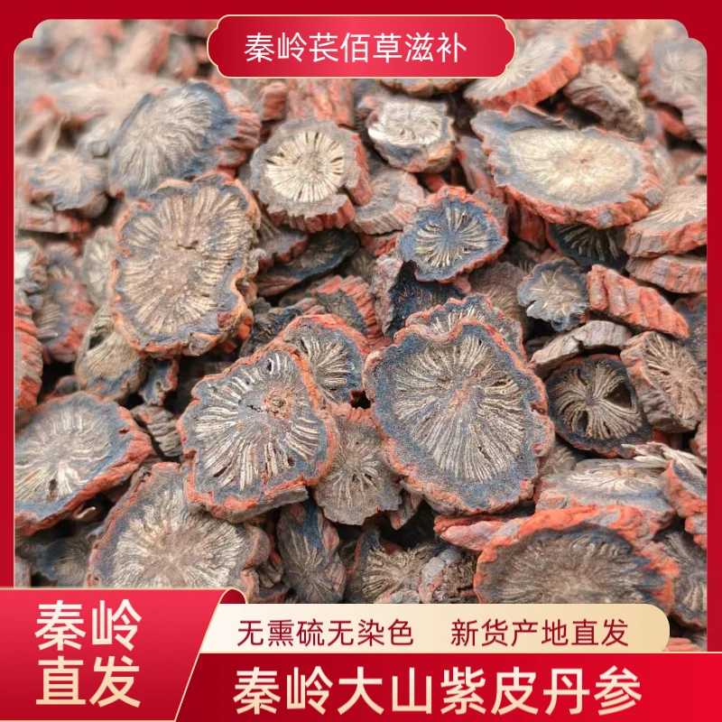 秦岭紫皮丹参泡水煮水陕西发货