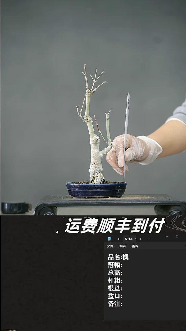 【闪购商品】98