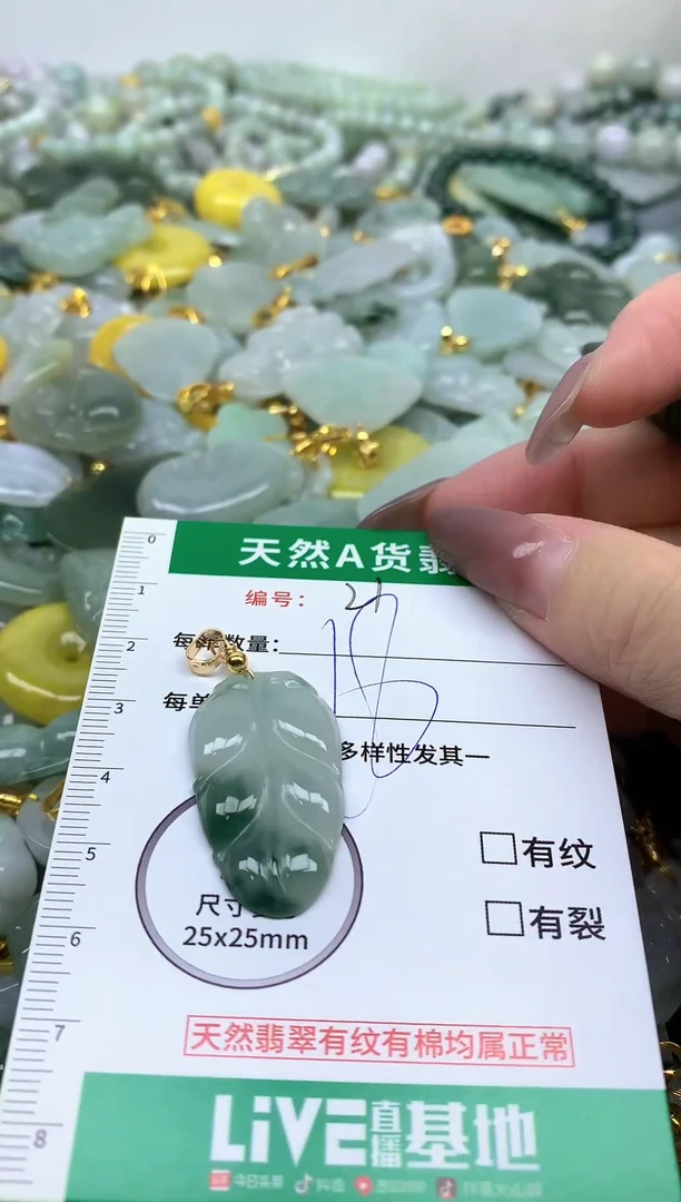 颈饰未镶嵌翡翠纯天然缅甸A货翡翠-27