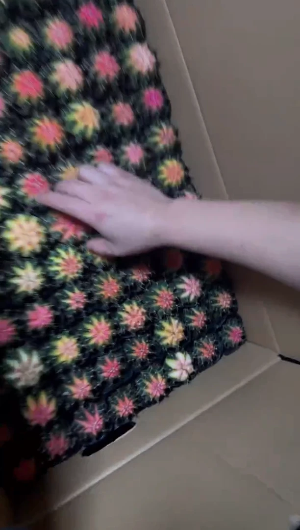 5颗 牡丹锦球【实生根】4-6cm